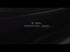 جيلي مابل ليف 80V