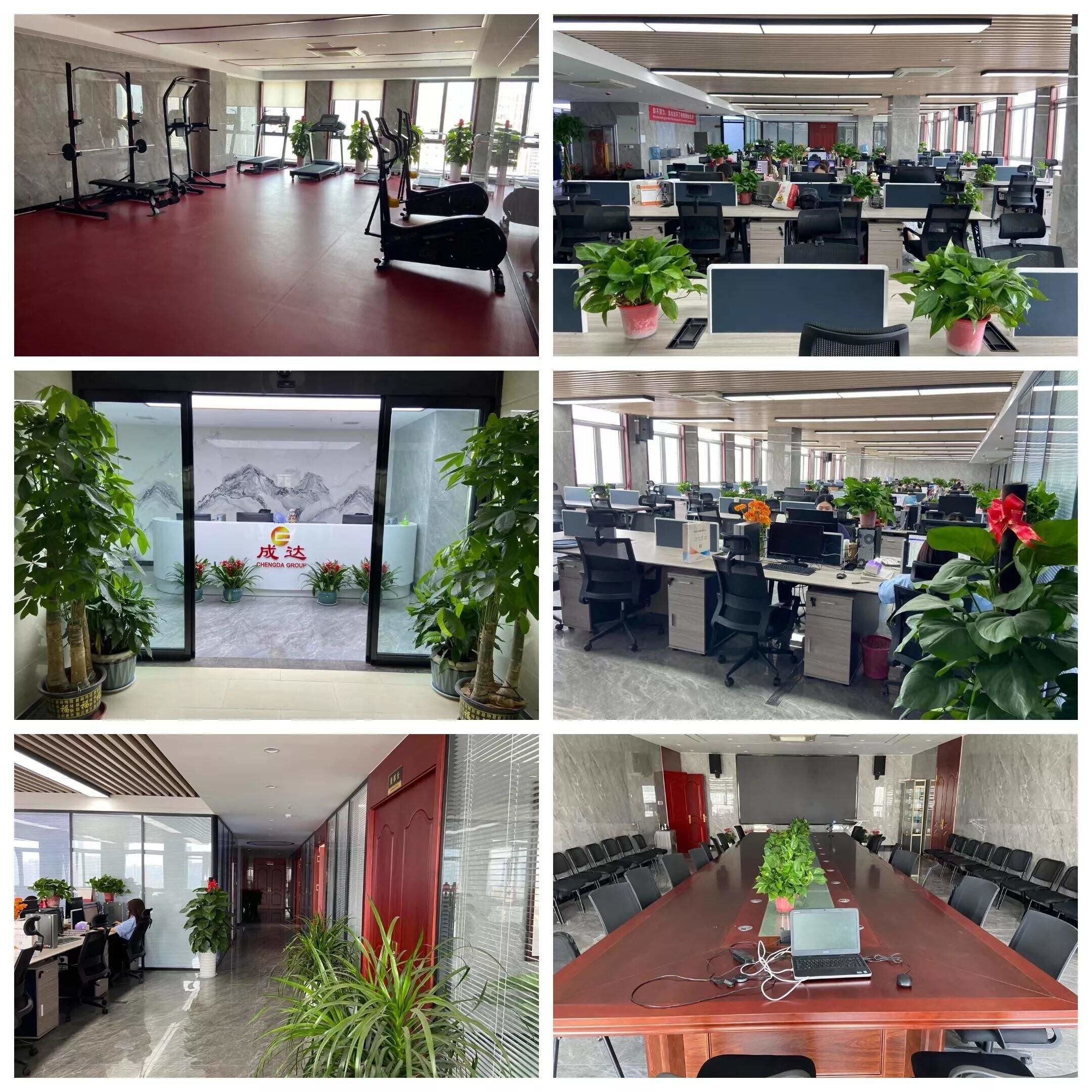 الصين HUNAN DECOMLLC SUPPLY CHAIN CO., LTD. ملف الشركة