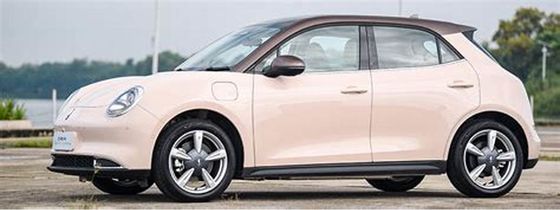 150km / h الصديقة للبيئة للسيارات الكهربائية 400KM ORA Good Cat Pure Electric Cars