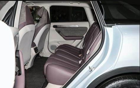 السيارات الكهربائية عالية السرعة سيارات الدفع الرباعي الطاقة الجديدة Lingpao C11 للبالغين