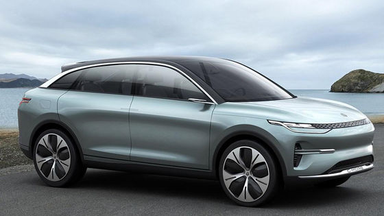 السيارات الكهربائية عالية السرعة سيارات الدفع الرباعي الطاقة الجديدة Lingpao C11 للبالغين