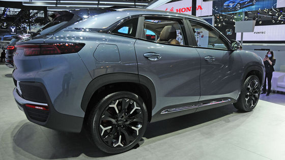 شيري QQ Ant Mini SUV Electric Car 301Km Pure EV High Speed 100km / h