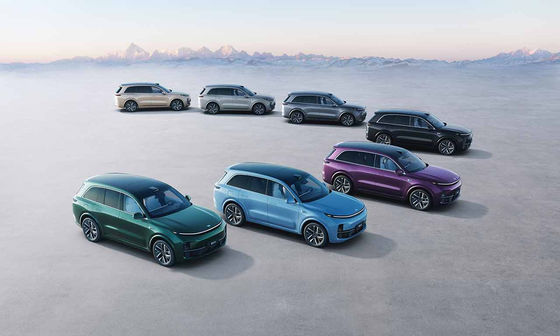 42.8kWh بطارية 6 مقاعد كهربائية SUV