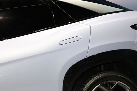 وسيارة بي واي دي بحرية كهربائية نقية وسيلة كهربائية جديدة مع بطارية