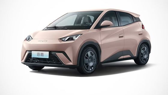 أداء عالي في عام 2023 سيارة كهربائية جديدة بيد غول EV مغلقة بالكامل 4 عجلات