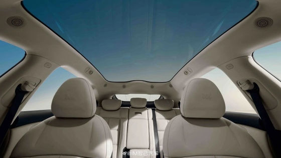 جيجي LS6 أقصى طاقة 575 كيلوواط جميع السيارات الكهربائية مع السرعة القصوى من 252 كيلومتر في الساعة