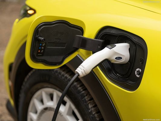 تعليق رالي فريد، سيارة عائلية خارج شعور السباق في فورد موستانج ماخ-إي رالي (2024) 480 حصان