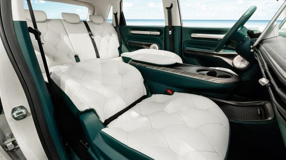 باوجون يوندو (EQ100) 460 برو أذكى سيارة كهربائية ذات مدى 460 كم